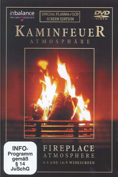 Kamin-Feuer