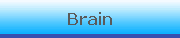 Brain