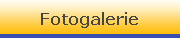 Fotogalerie