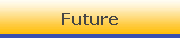 Future