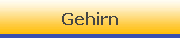 Gehirn