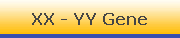 XX - YY Gene