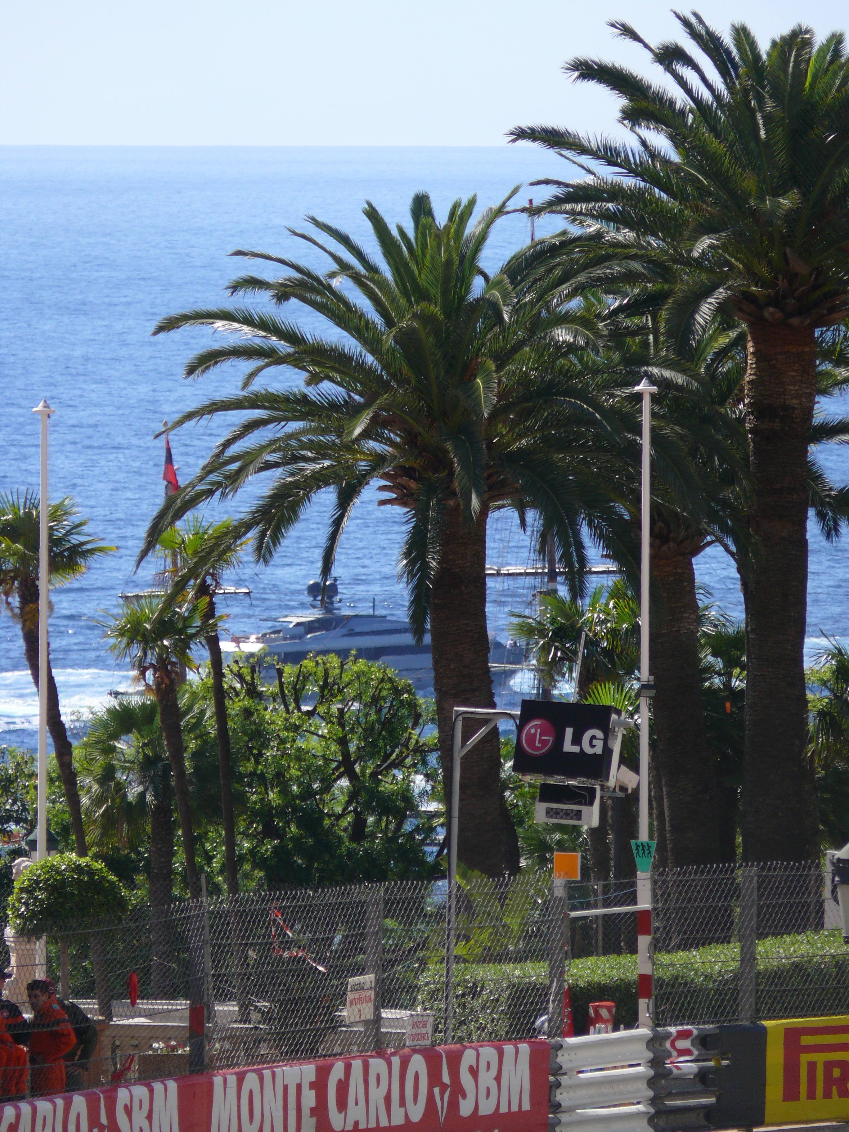 monaco 2011 palmen